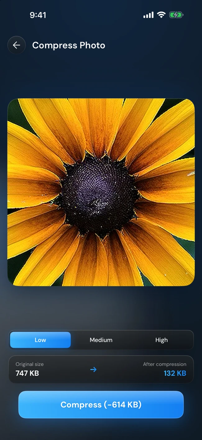 Compress Photo screen showing image quality choices and file size comparison